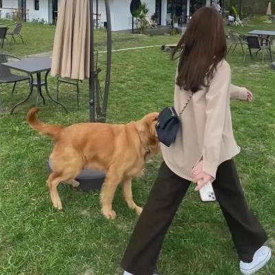 行人徒步区